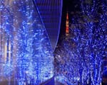 Sfondo alberi di Natale illuminati di blu
